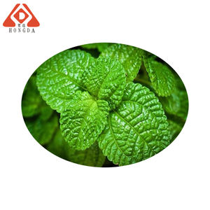 HONGDAサプライミントエキスメントールミントパウダーペパーミント - Product Image 2