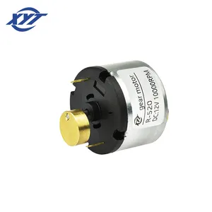 电动振动机高速双轴 12v 电源发电机迷你直流 1 Rpm 齿轮马达