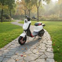 Vélo électrique transfrontalier tendance avec moteur de moyeu arrière, freins à disque doubles, cadre en acier à haute teneur en carbone, batterie au lithium/plomb 160