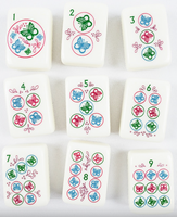Nouvel ensemble de Mahjong américain 2026, jeu de société de casino pour adultes, avec tuiles gravées en acrylique motif Nature Mère, idéal comme cadeau