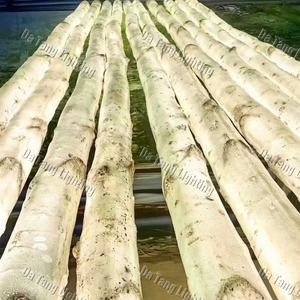 ไฟประดับต้นเบิร์ชสำหรับตกแต่งภูมิทัศน์เชิงพาณิชย์ สวนสนุก ศูนย์การค้า โรงแรม และงานเทศกาล - Product Image 3