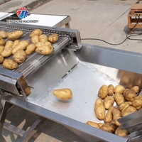 Automatische Groente En Fruit Sorteren Machine Selectie Tafel TS-GF25A