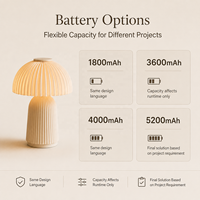 Lampe de table LED DC/AC rechargeable, écologique, imprimée en 3D sur mesure, à intensité variable en continu, avec options d'emballage couleur pour marque privée