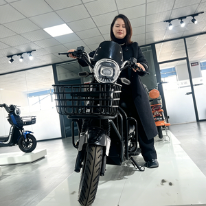 Moto électrique de ville avec moteur à moyeu 60V 1000W, moto de tourisme puissante - Product Image 1