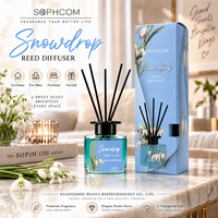 Diffuseur d'ambiance pour hôtel, bouteille en verre, bâtonnets en fibre, décor aromatique, fournisseur en gros, emballage personnalisé, export