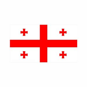 Swil Tùy Chỉnh Cờ Quốc gia Cầm Tay Cờ Trên Thanh Nhỏ Mini Quốc Tế Quốc Nước Cờ Cho Cuộc Dại Dại Thế Giới Bóng Đá Cup - Product Image 4