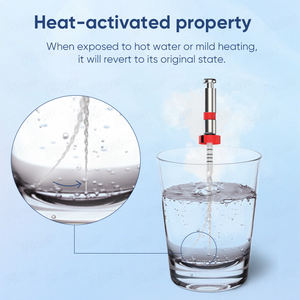 Набор эндодонтических файлов для корневых каналов, 6 шт., ротационные, термоактивные, из NiTi сплава, для использования с эндомотором - Product Image 4