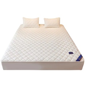 ผ้าคลุมป้องกันฝุ่นสำหรับที่นอน & อุปกรณ์ป้องกัน - Product Image 1