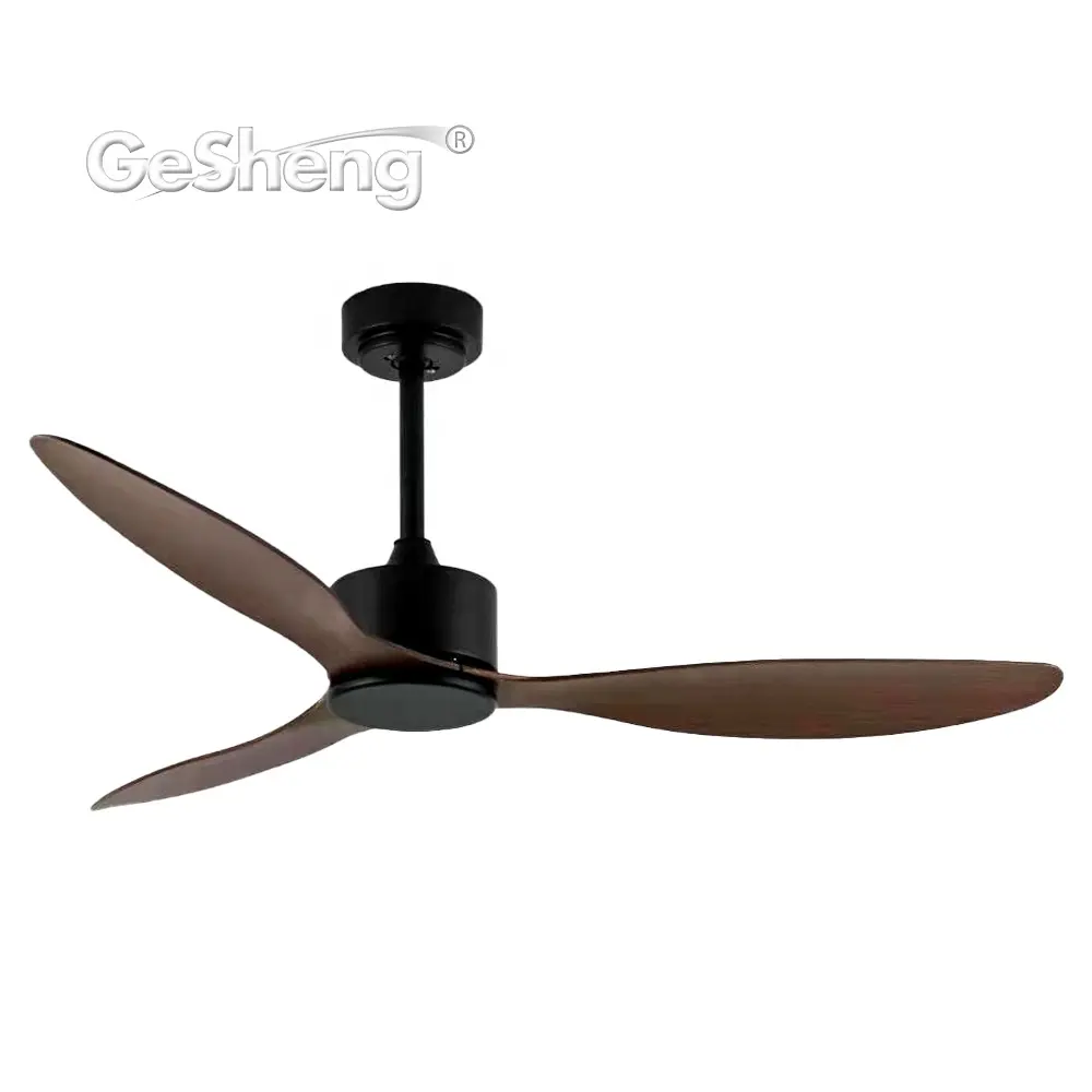 Decorative Fan Modern Simple Decor 3 ABS Blades Ventillateur Plafond Remote Control Ac Dc Ceil Fan Ceiline Ceilling Fan In Ceiling