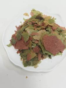 Alimento para <span class=keywords><strong>Peces</strong></span> en Escamas Tricolor, Venta al por Mayor de Fábrica, Alimento para <span class=keywords><strong>Peces</strong></span> Ornamentales Tropicales para Guppy, Betta, Tetra - Product Image 4