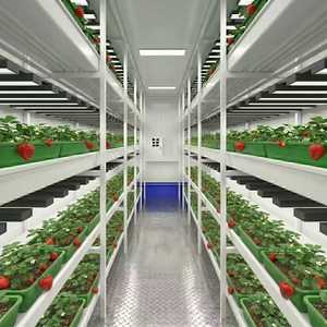 Sistema de Cultivo Hidropónico Apilable de Pared con Canales de Cultivo, Relleno Automático de Nutrientes, Ventilación Natural Cruzada, Luces de Cultivo con Temporizador y Sellado - Product Image 5