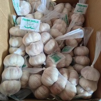 Ail blanc pelé Sinofarm, gousses d'ail chinois 4,5-6 cm, 10 kg/carton, sac en filet de 20 kg, prix de gros, ail frais congelé pour l'exportation