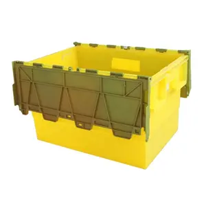 プラスチック製の移動箱カスタマイズされたプラスチック製のトートバッグ (ヒンジ付き蓋付き) プラスチック製の移動箱 (蓋付き)