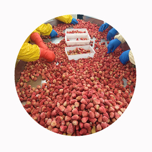 Sắc Nét Rồng Lqf Đông Lạnh Toàn Bộ Dâu Tây Bột Giấy 3-5Cm Số Lượng Lớn Bao Bì Từ Trung Quốc Bán Buôn Cho Nhà Nhập Khẩu - Product Image 6