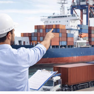 Servicio de Despacho de Aduanas para Alimentos Congelados en Arabia Saudita, Aprobado por la SFDA, Despacho de Aduanas para Cadena de Frío de Carne Congelada y Alimentos Procesados - Product Image 1