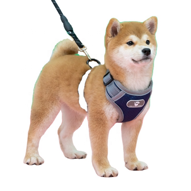 Собака безопасное автокресло закрепить ремень оптовая продажа от производителя; Регулируемый мульти-цветовый нейлоновый домашнее животное собака ремень безопасности сильный Новинка ошейник для собаки