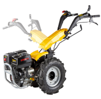 Motoculteur agricole italien de type BCS avec rotoculteur