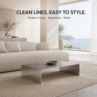 Table basse rectangulaire KINNO moderne en acier inoxydable 304, faite à la main, 80x50x30cm, épaisseur 4mm, durable, facile à nettoyer, pour appartement, salon