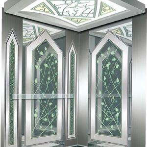 Ascensor Residencial a Medida de Fabricante Chino: Elevador de Plataforma con Panorámicas Impresionantes y Ahorro de Espacio - Product Image 1