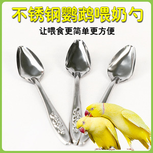 Comedero para pájaros de acero inoxidable Crown Asia para pollitos de cacatúa y niños pequeños, herramienta duradera para alimentación manual en todas las estaciones - Product Image 5
