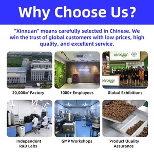 Poudre de morsures de vessie personnalisée Complément alimentaire pour animaux de compagnie Soins de santé Nourriture pour chat Friandise pour <span class=keywords><strong>chien</strong></span> Soutien des voies urinaires et des reins avec canneberge - Product Image 6