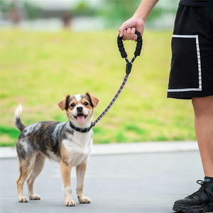 カスタム多色ソフト編組コットンペットラウンドロープペット用耐久性毎日ウォーキングアウトドアスポーツエンターテインメント - Product Image 3