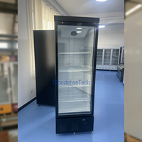 Congélateur vertical avec porte en verre noir, refroidissement par air, haute efficacité, vitrine pour supermarché