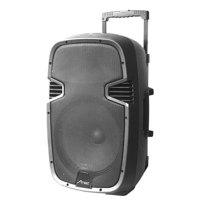 15inch Cheap BT Outdoor Trolley Speaker PORTABLE SPEAKER WITH MIC