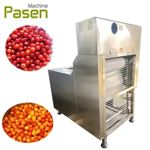 Factory direct supply Cherry stemmer price Cerise stem remover Cherry stalk removing machine