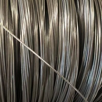 Produsen Cina 0.018mm 0.04mm 0.05mm AISI Ss 304 316 Benang Logam Filamen Baja Tahan Karat
