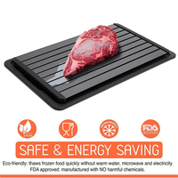 Plateau à dégelant rapide pour la viande, appareil de petite taille avec tapis gouttes, ensemble mèches en alliage d'aluminium, dégelant les aliments rapides magique, sans électricité