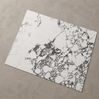 Revêtement mural moderne souple et texturé en quartz noir et blanc, imperméable et ignifuge, pour hôtels, gymnases et extérieurs