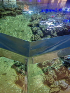 Super Transparant Milieuvriendelijk Plastic Aquaria Oceaanrestaurant Bouw Thema Aquarium Ontwerp - Product Image 6