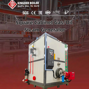 Generatore di Vapore da 0,3-2 Tonnellate, Caldaia Personalizzata con Design Integrato in Armadio e Protezioni di Sicurezza Multiple - Product Image 2