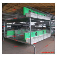 Nouvelle cage d'élevage pour lapins, en acier galvanisé, type H, capacité 48 lapins