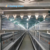 Équipement d'élevage de poulets de chair Système automatique Cage pour poulets de chair