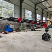 3 punti Hitch Log Crane silvicoltura legno gru Log Loader con la gamba idraulica grugn grappolo per camion