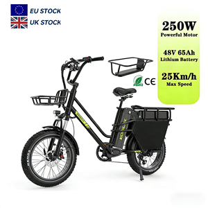 Vélo électrique <span class=keywords><strong>cargo</strong></span> Koolux X8 EU 20 pouces à pneus larges haute vitesse avec batterie amovible 65Ah longue autonomie pour livreur - Vente en gros - Product Image 1