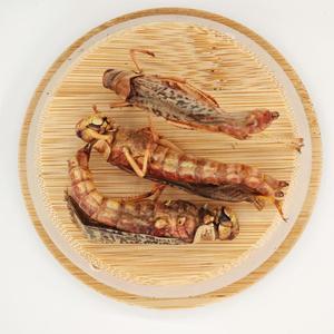 Alimentation en gros pour oiseaux à haute teneur en protéines : 100 % naturel, sauterelles séchées pour oiseaux, poissons et animaux de compagnie - Product Image 2