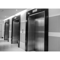 Sıcak satış kapalı açık elektrikli konut asansörü asansör küçük ev kaldıracı
