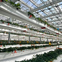Goedkope Intelligente Landbouw Multi-span Glazen Kas Hydroponische Kas