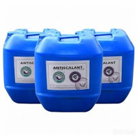 Anticalcaire de qualité alimentaire à haute concentration, liquide chimique économique pour le nettoyage des membranes RO