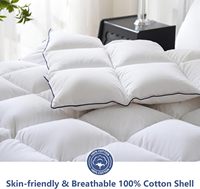 Couvre-lit 100% coton Toute saison Ultra doux Literie de luxe pour hôtel Fibre de duvet de plumes d'oie Couvre-lit Queen Size Insert de couette
