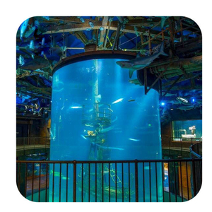 Sd Grote Acryl Plaat Aangepaste Cilinder Acryl <span class=keywords><strong>Aquarium</strong></span> Grote Acryl Buis <span class=keywords><strong>Aquarium</strong></span> - Product Image 1