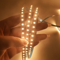 Bande lumineuse LED flexible en cuivre intelligente IP68 SMD2835 24V pour l'éclairage paysager avec télécommande