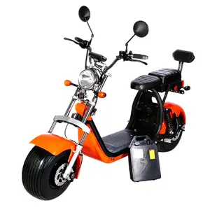 EEC CoC Disetujui Electric Scooter 2000 W 60 V 20ah Baterai Lithium dengan Belakang Duduk Double Kursi Citycoco