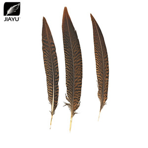 Piume di coda di fagiano anello (Ringneck) naturali all'ingrosso, lunghezza 10-80 cm (4-32 pollici), per decorazioni fai da te - Product Image 3