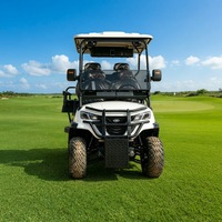 Voiturette de golf électrique tout-terrain LEIBIN, robuste, 4x4, forte performance de montée, pneus antidérapants, autonomie de 90 km, 3-4 places, vitesse de 30 km/h, tout-terrain