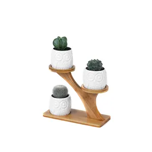 Suculentas de coruja de cerâmica, 3 peças, potes suculentas com 3 tier, suporte de molhos de bambu