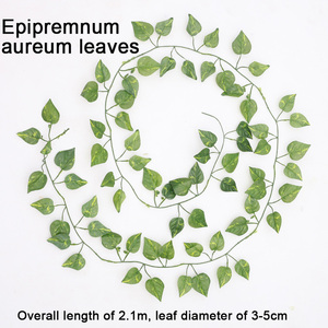 Guirlandes de feuilles de Senmasine Epipremnum Aureum en soie, verdure, vignes suspendues, lierre artificiel pour la décoration murale de la chambre, fête de mariage, pièce - Product Image 3